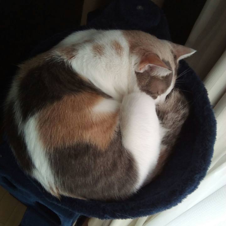 60d7a7c8 b07a 4386 ab96 8eb90682aff0