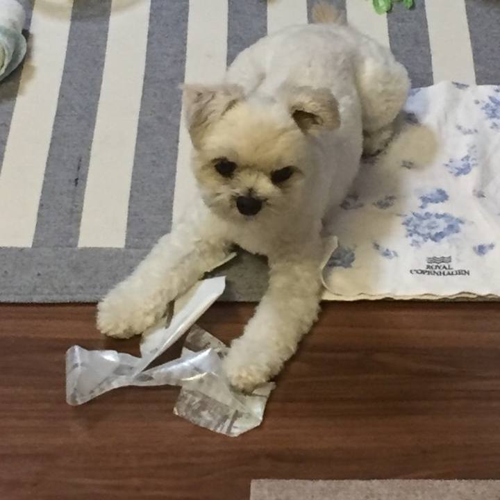 60d82b99 92bc 42a1 852f 8cfcfd9dac6d