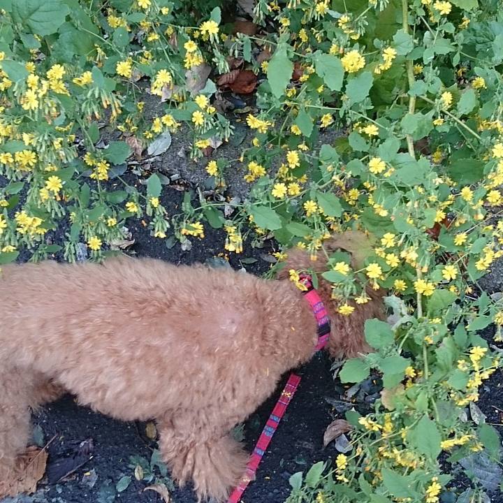 60d86232 cf5a 4b80 8b2b 4136096fde2b