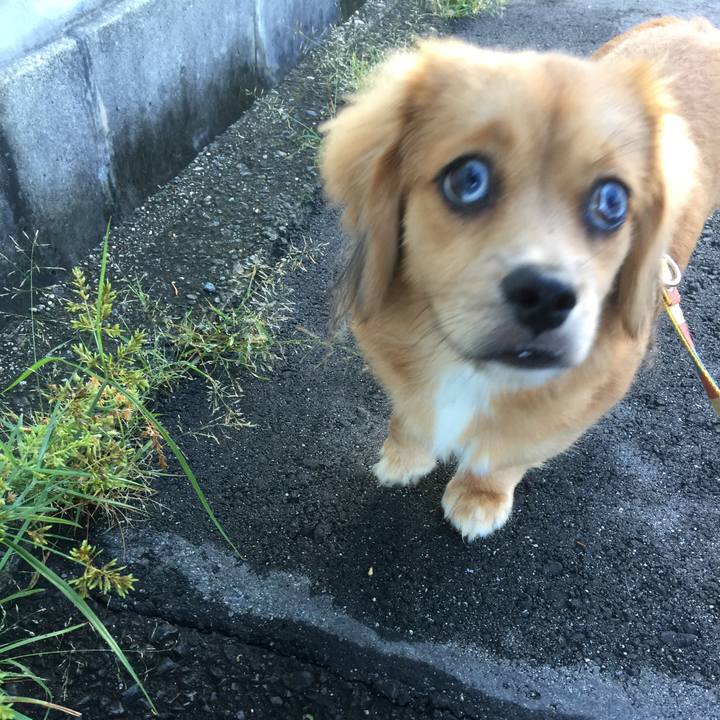 60d89b6b 392f 4629 ae72 3ce8128bd0b2