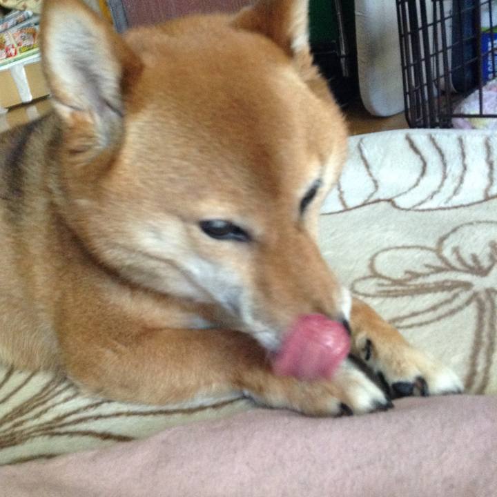 60d89b79 f5de 42c8 975b 21cfdc5ce3e0