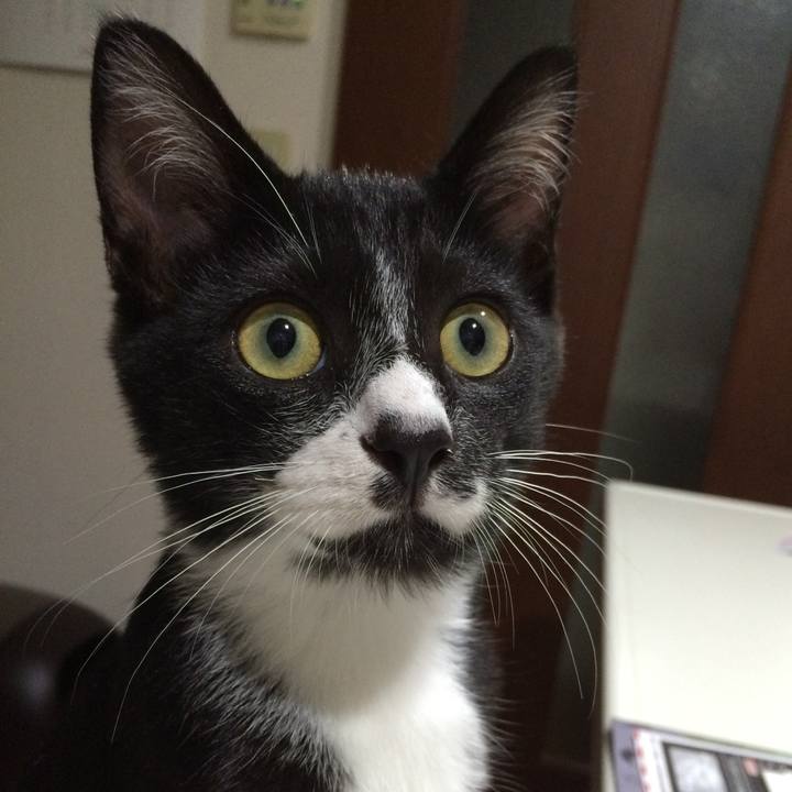 60d90809 0d2c 4780 89a0 a67175c03e9f