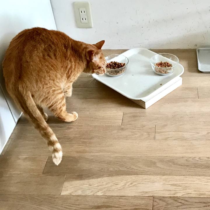 60da8597 2fad 49f1 b985 e916282abf24