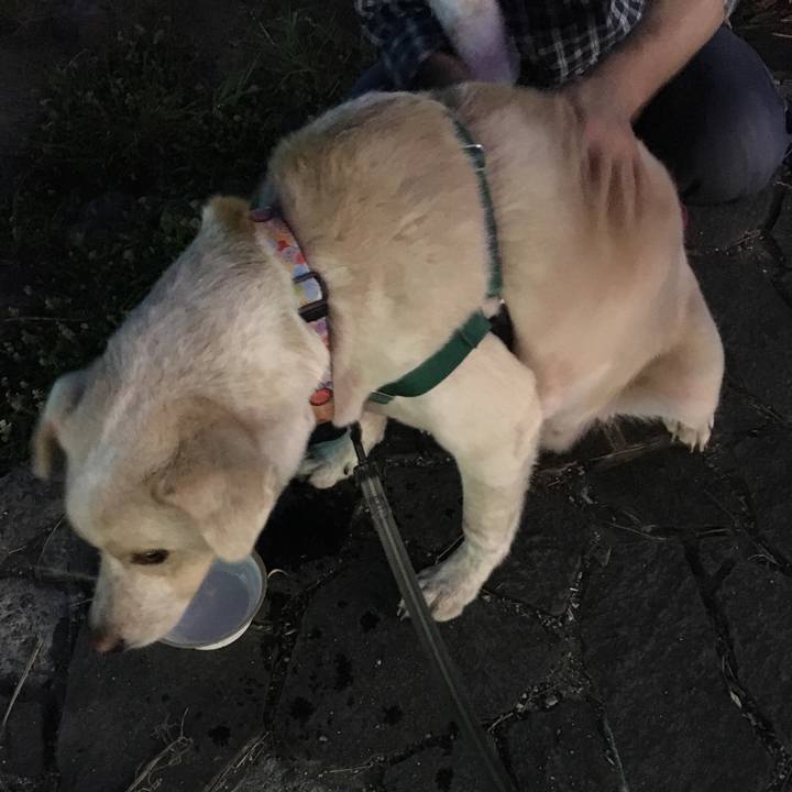 60daaf00 8a0c 4a1f 8994 80a7b313d410