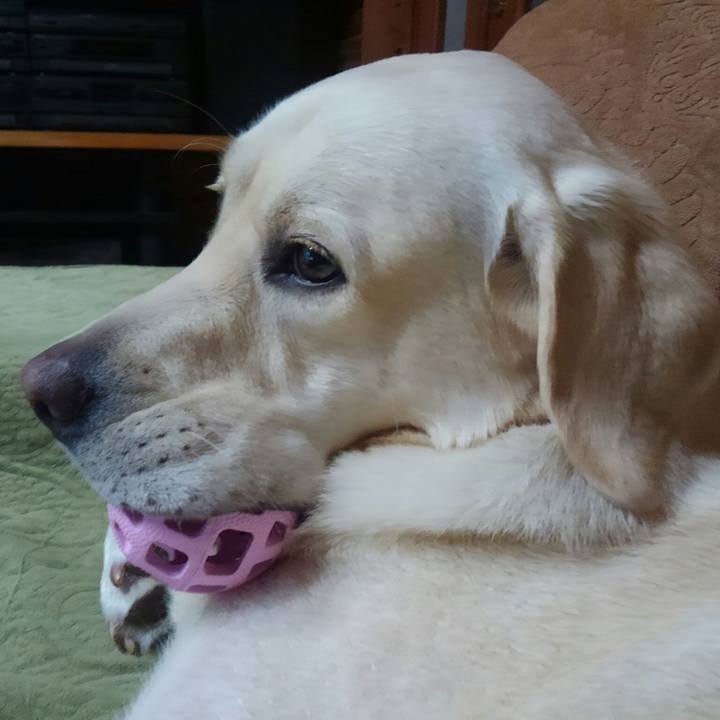 60dae211 44cc 41ad 9072 0366a51ea13a