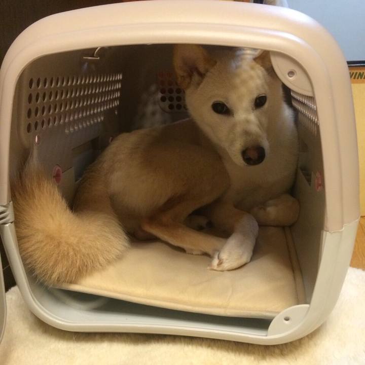 60dbfb32 8b06 4301 8b5b 6a25c00cc35a