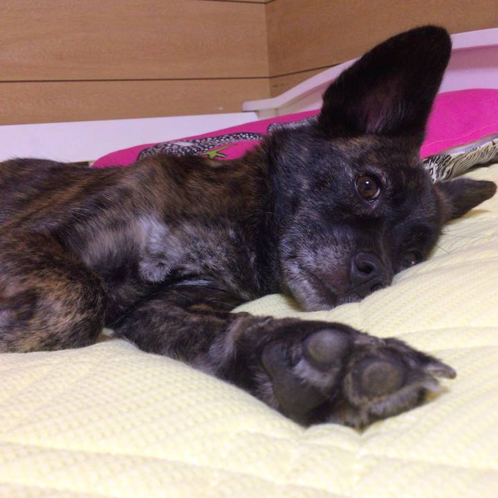 60dc11ef 885b 448e afe5 ee4bf35941cd