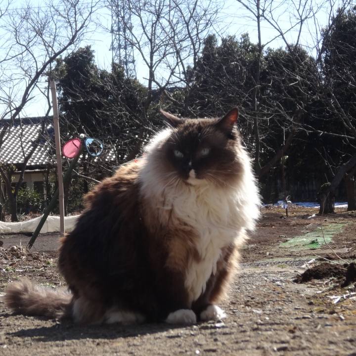 60dd3a92 da6d 48a1 a8d5 32e611cf1504