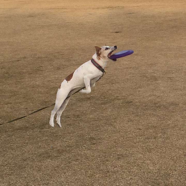 60dd8ffc b229 40f4 891d 729c43040b16