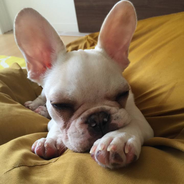 60de65e8 bbc3 4990 b088 9aca47a4e7fa