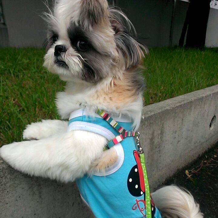 60df0274 fecc 4291 b764 e979d655d64d