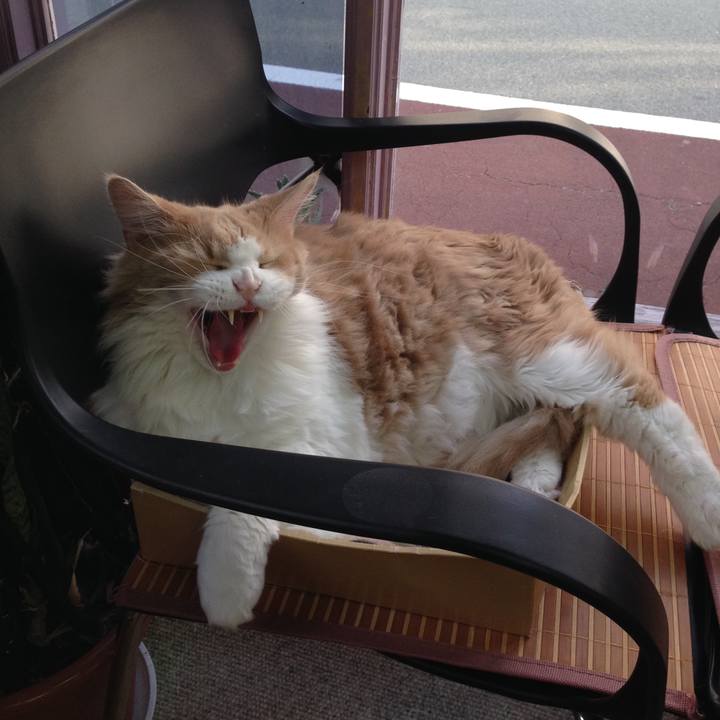 60df4313 cf9e 4862 ab35 15f8fdd3b408