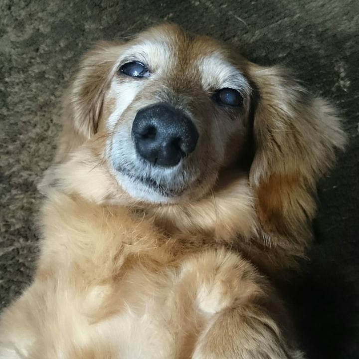 60df68ad 5a4c 4375 bf8a e1c50c424f1f