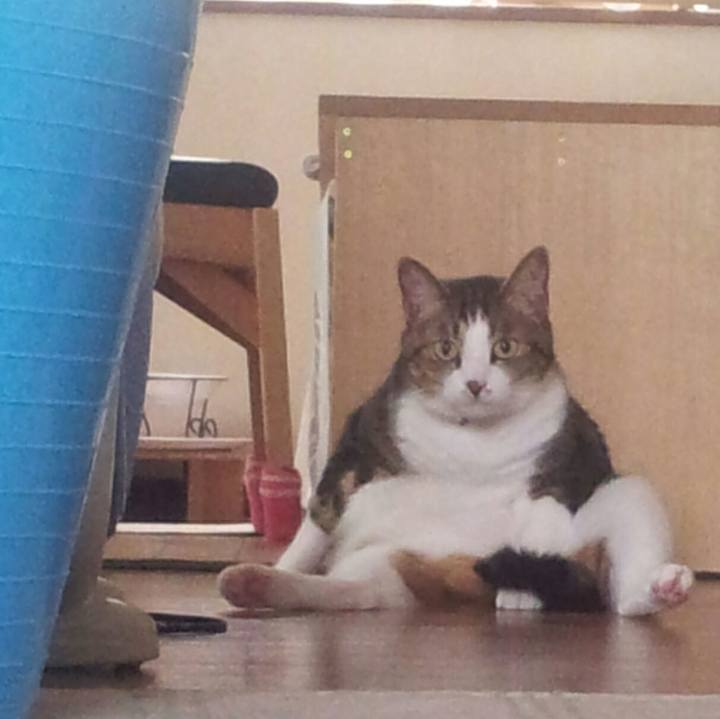 60dffd41 4ddb 4d6a 9a94 aaf393df6f44