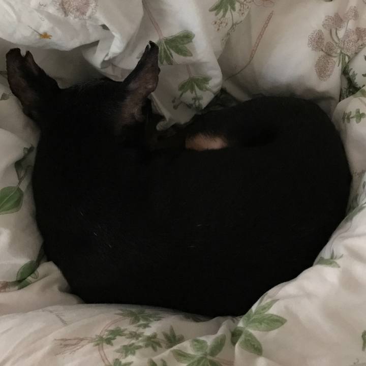 60e03dc5 c4a4 4ae3 8af7 83a15a49f7c8