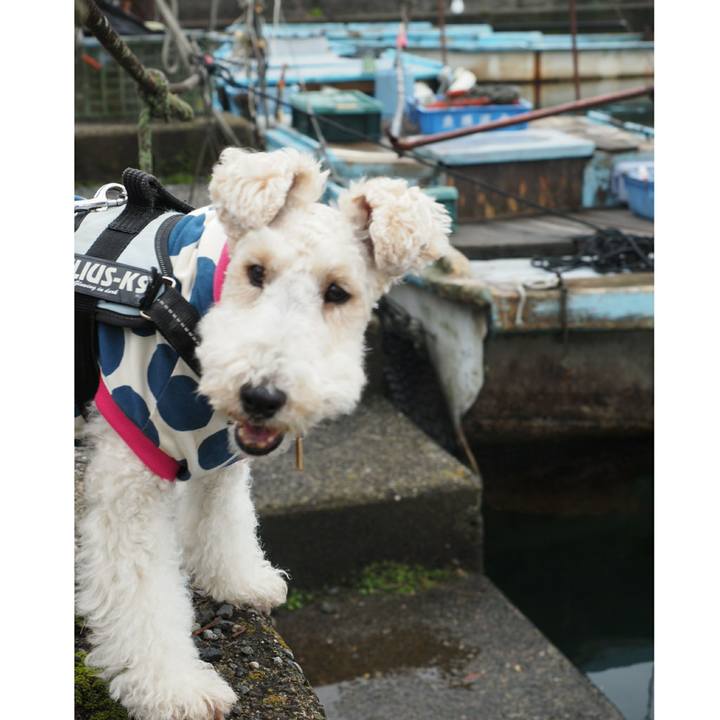 60e0bf74 ddc0 4a24 a80b 22d78ab6e75f