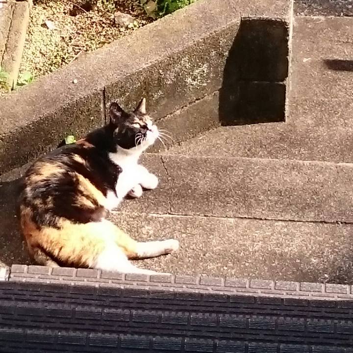 60e0f0c9 2f71 4713 9bdd 2a05c5f662ac