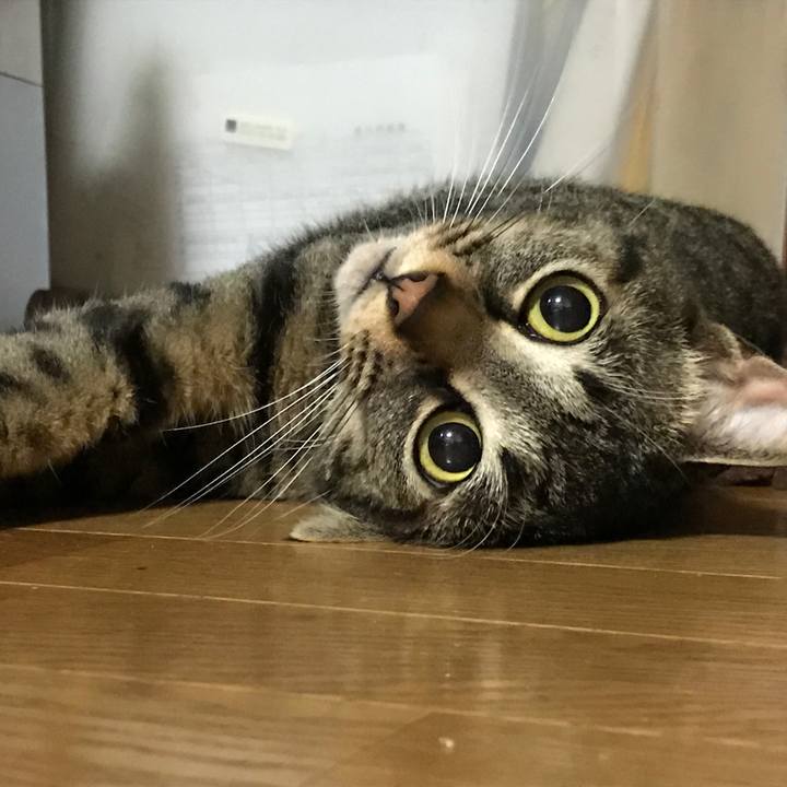 60e18d1d 36bf 4ed1 84bd 67b19c04eaa9