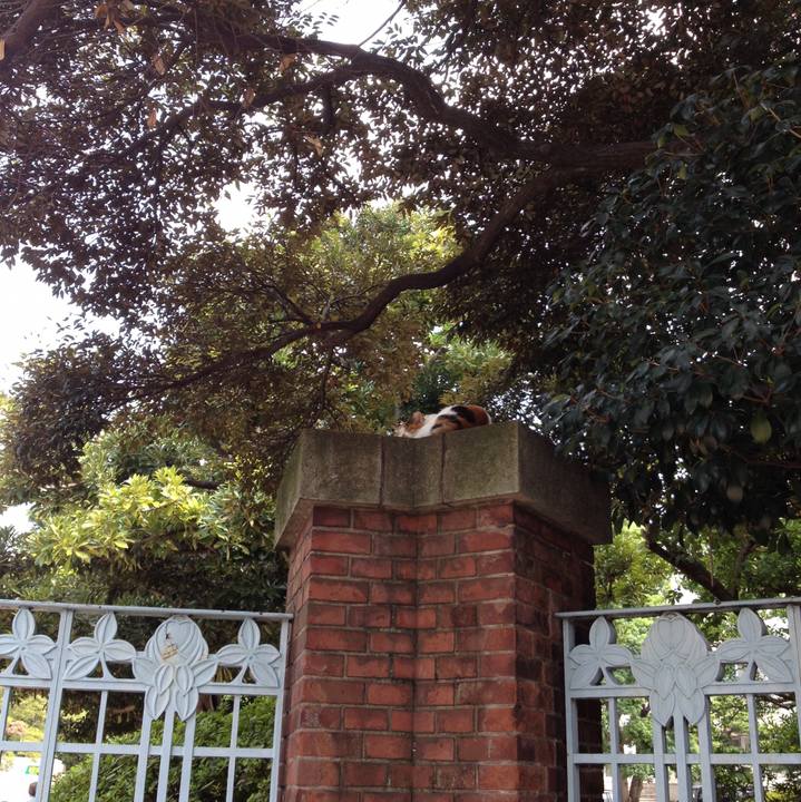 60e27873 fb70 4a81 b1f7 136f39b0c22c