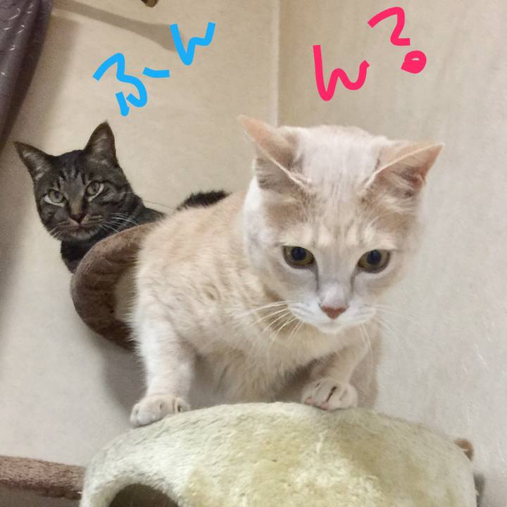 60e3b2b4 d6f8 49f5 a0bc e4b5943128cc