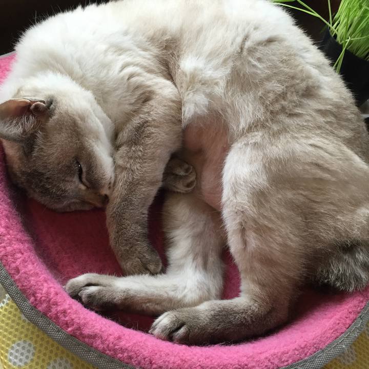 60e3d51b 64ad 4244 969b 4e1babf53fbc