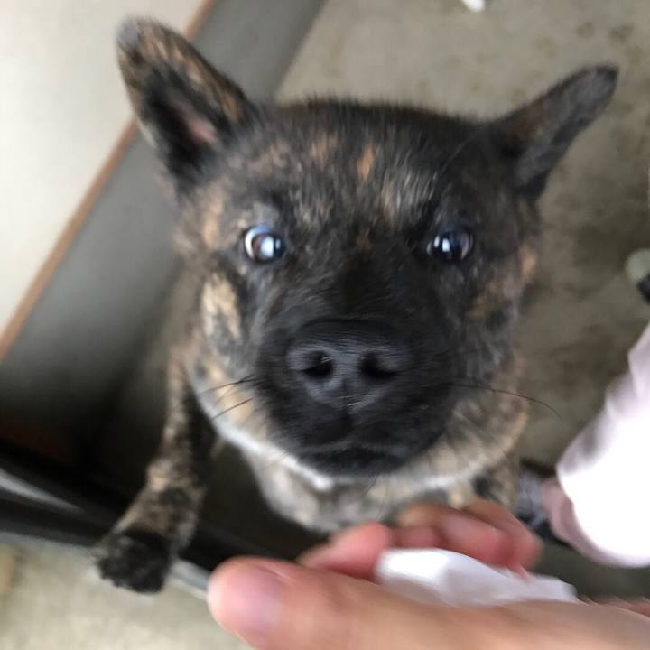 60e4283e 27e8 40ce ab00 d6959af8e479