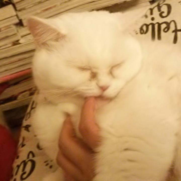 60e428af e2ec 4acf bfb2 846f30f81551