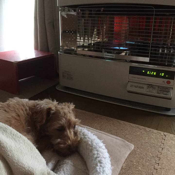 60e4352d 40fd 4a70 b6df 4140f1852e03