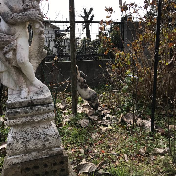 60e45bff 21ff 4974 ae43 4af08e99d8e5