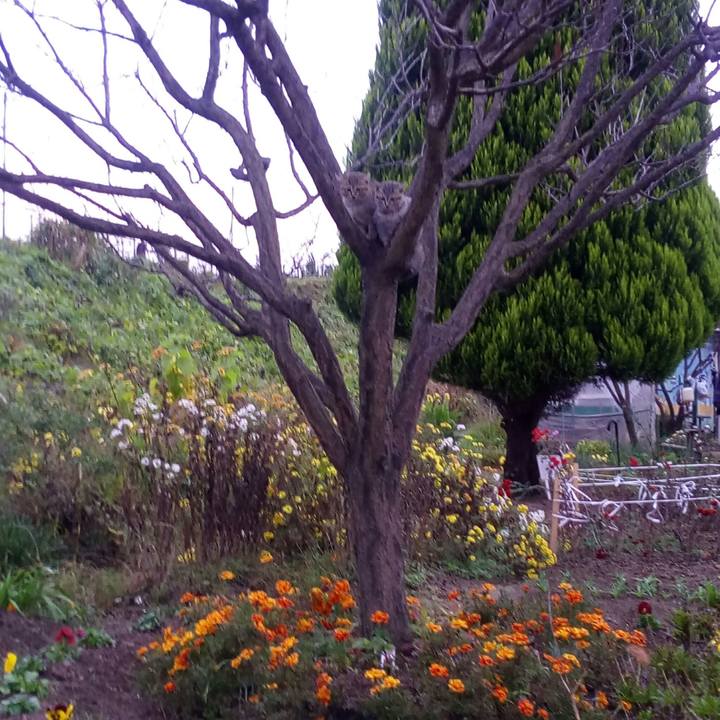 60e47c8b c7af 48d4 9c28 afed4b95b2b6