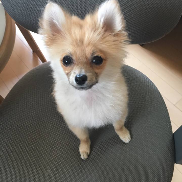 60e53337 35fb 4812 a8b3 15e013782ad8