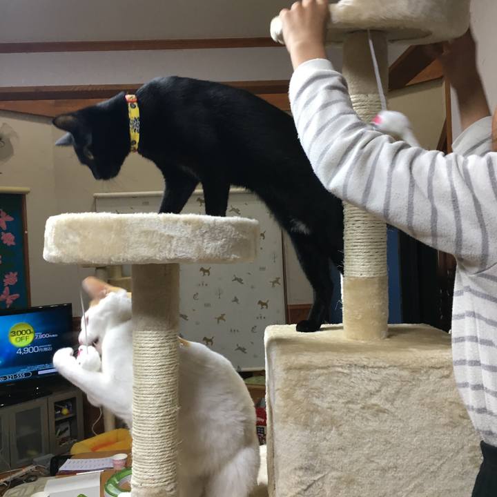 60e6625f 2e99 48f1 b28c 503d13d02b38