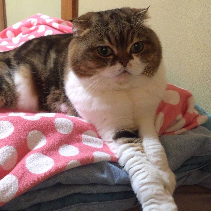 60e669a5 213d 47fd aff7 4eaded0973ce