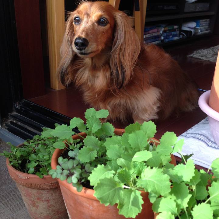 60e69fed 6e92 475b 9c4f 8ea020f5fe28