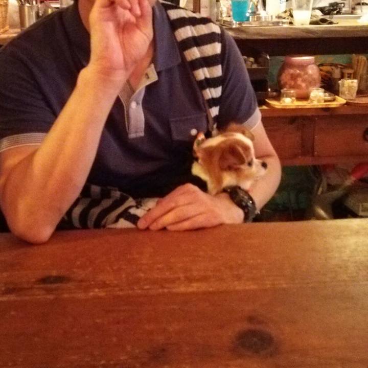 60e6a3b1 e1df 4ec2 8c7f b43990fbd725