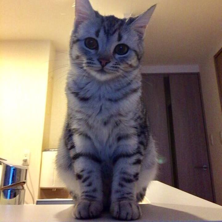 60e72ea7 0dd1 4574 a749 57311e0518fe