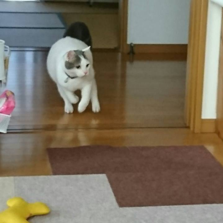 60e74065 0561 4f5f a682 ddfcacec0604