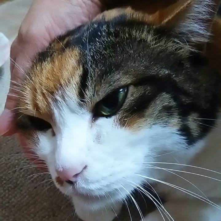 60e7d7c0 b101 4cac a89d bea437b69adb