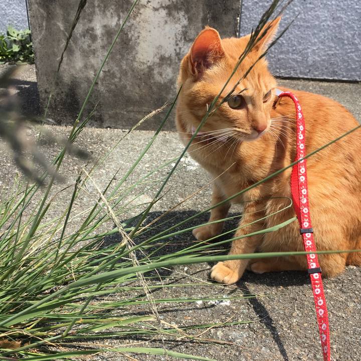 60e8afd9 06d2 430b aa20 6d8a7f9b310d