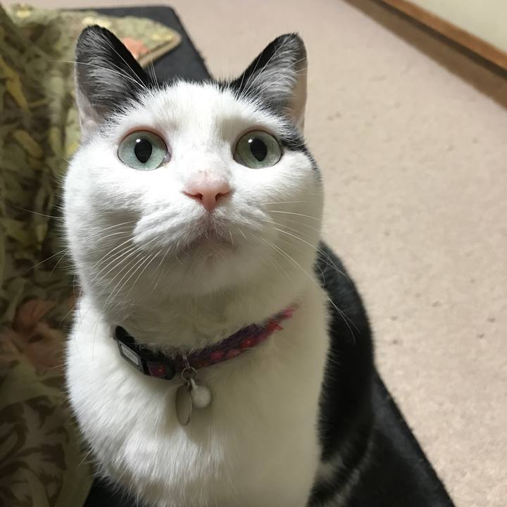 60e90a4a 52ff 4c57 a778 e1ea88d3c4a8