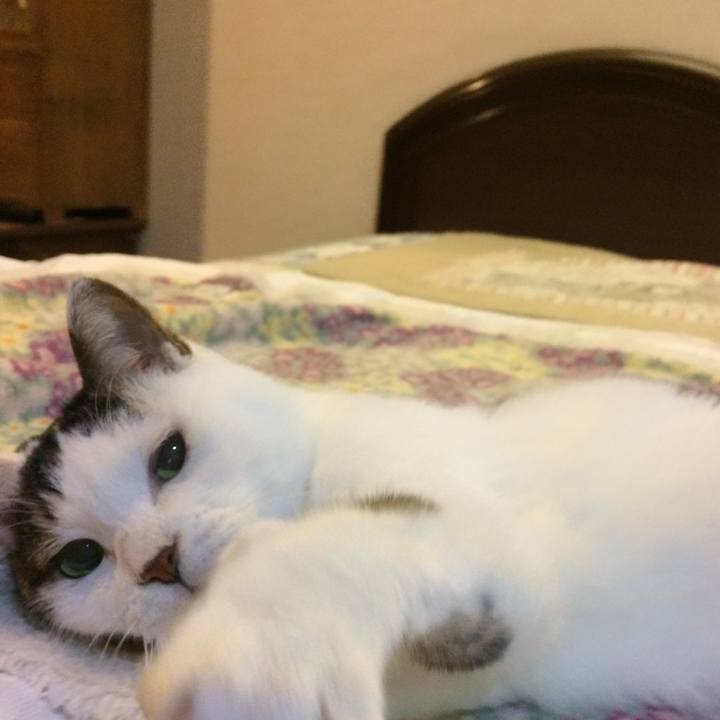 60e961e5 ade4 4819 b40d 7008cd4b4b67