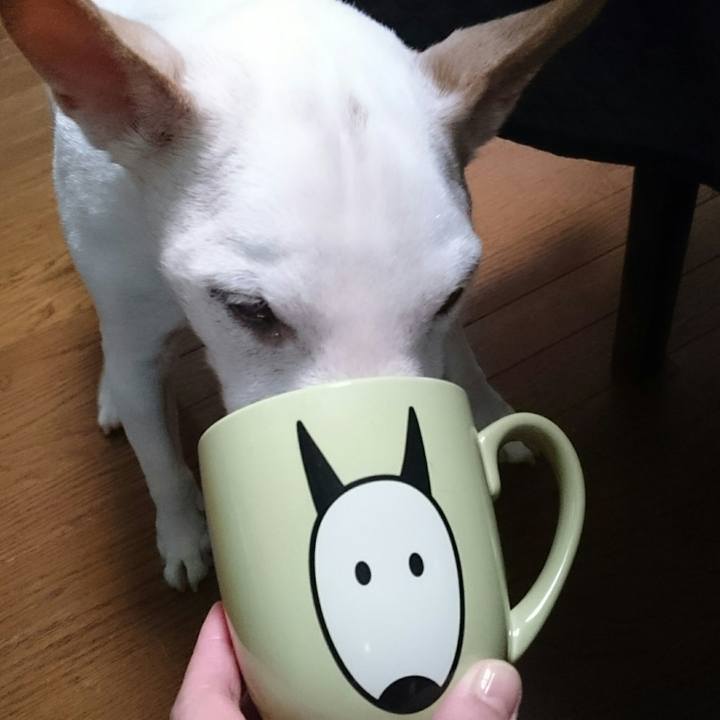 60ea0238 e617 4782 8799 5927ec328f88