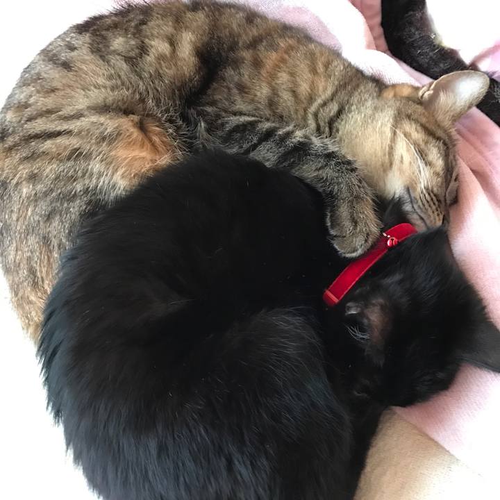 60ea7316 1713 415c 8af1 0297ee0205ad