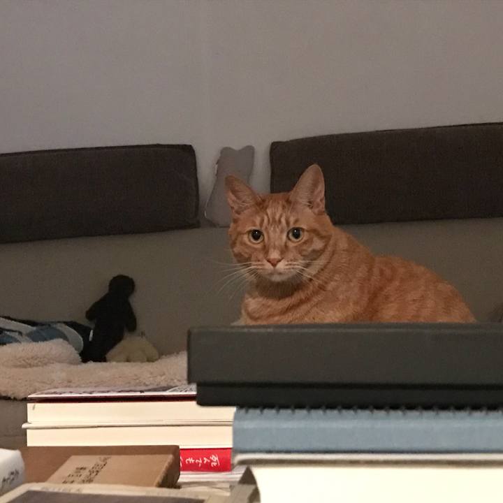 60ea81d5 d421 4307 9e23 3f2ac2a5a263