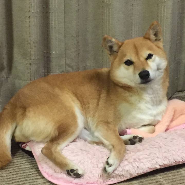 60eaad1a bbbe 436b 8553 fed93eebaa0e