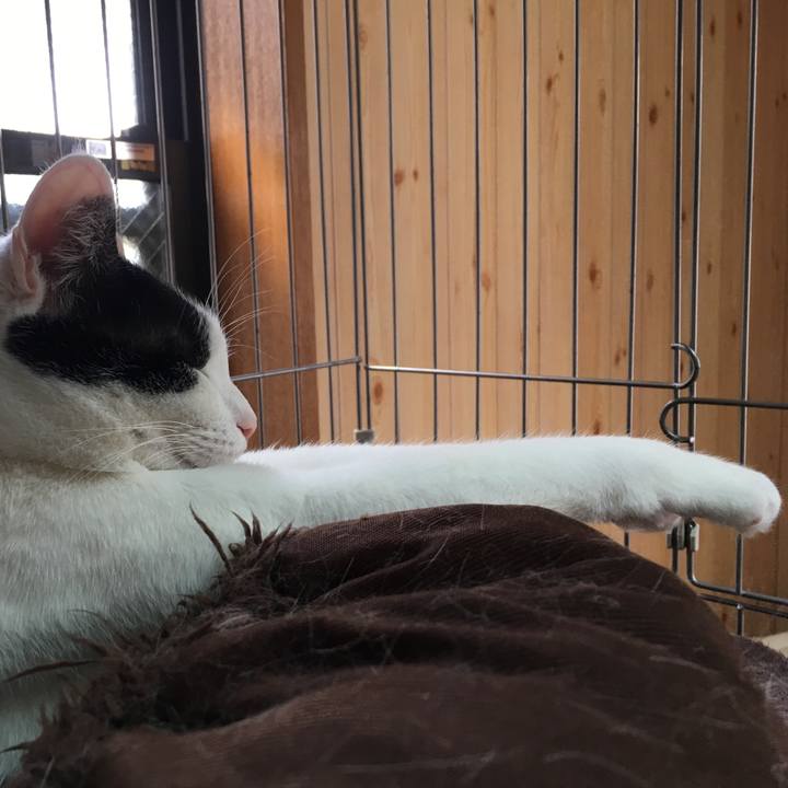 60ebba05 8f1e 4462 b74b 61469858ac8b