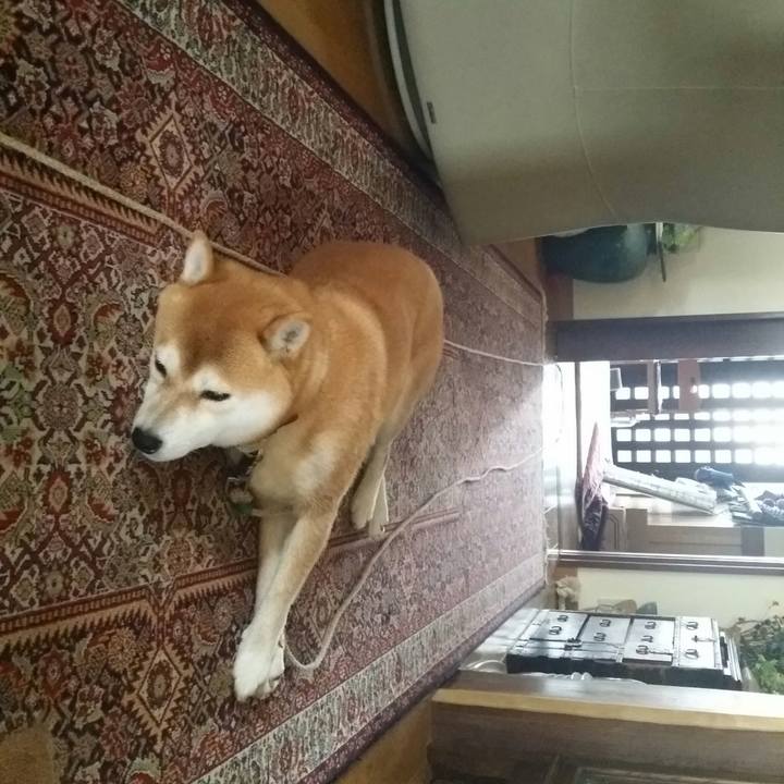 60ef2f89 7448 4c0a b556 934f9c9107c4