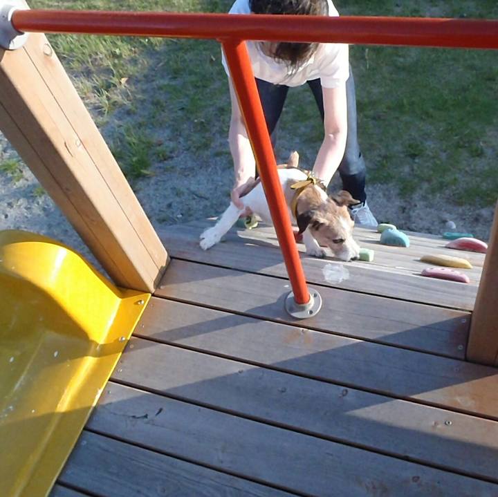 60ef74f1 55cf 488e bce1 0f9848e378b4