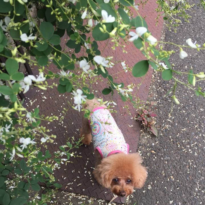 60efda29 0dae 4968 ac14 0fb405746ebf