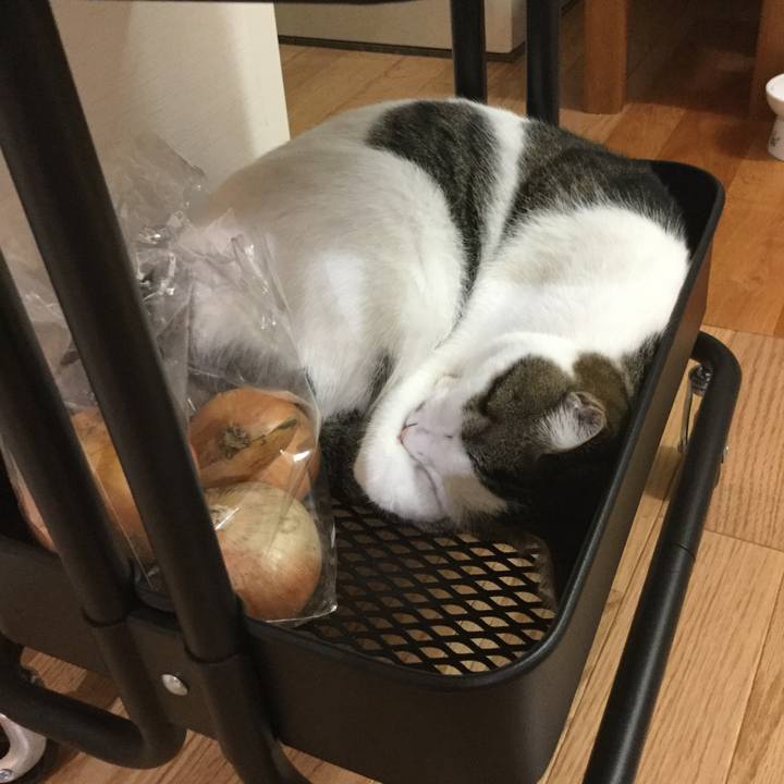 60f03f28 0cf5 4b25 b561 c9d369cceb26